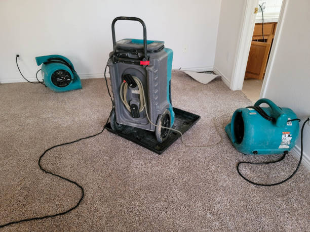 Best Residential water damage restoration  in Boulder Creek, CA