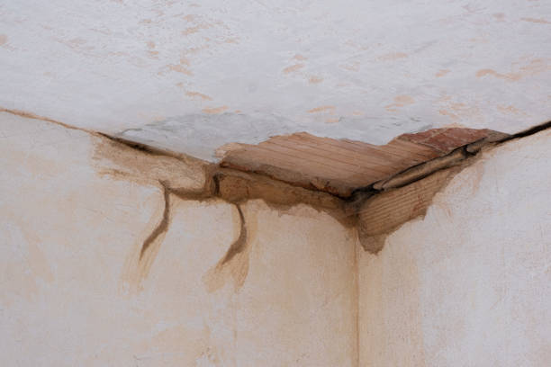 Best Flooded house restoration  in Boulder Creek, CA