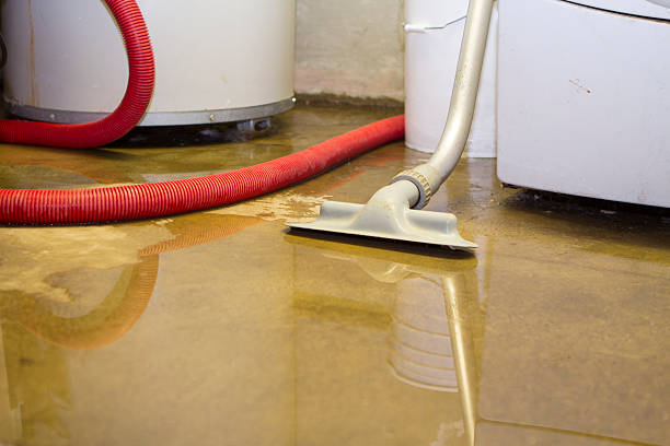 Best Water damage contractors near me  in Boulder Creek, CA