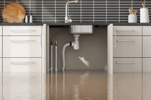 Best Mold removal after water damage  in Boulder Creek, CA