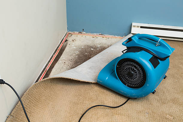 Best Water damage restoration mold remediation  in Boulder Creek, CA